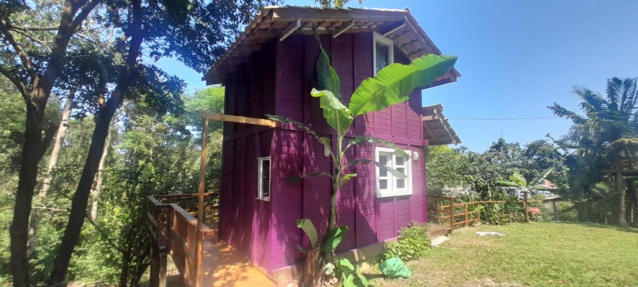Violeta Aquarela Bombinhas Villa Dış mekan fotoğraf