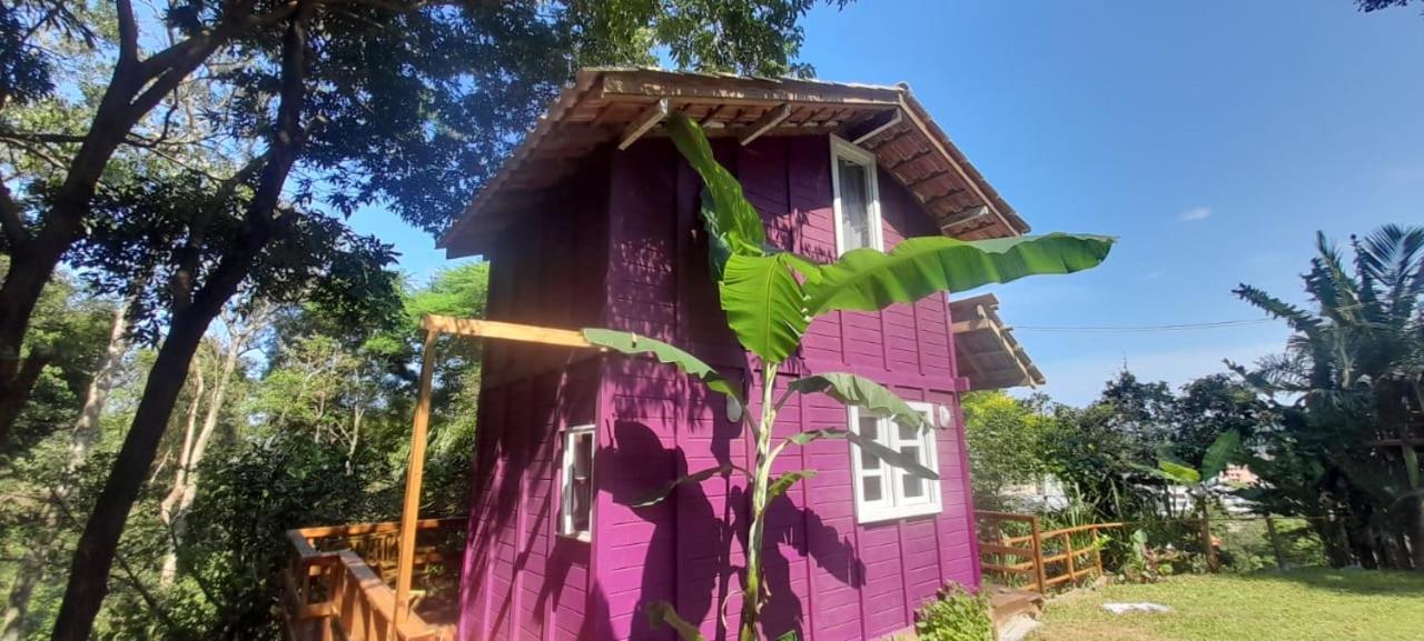 Violeta Aquarela Bombinhas Villa Dış mekan fotoğraf
