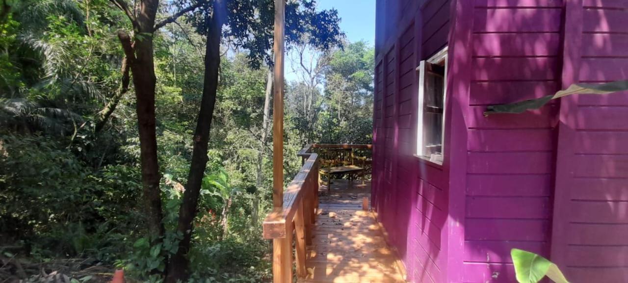 Violeta Aquarela Bombinhas Villa Dış mekan fotoğraf